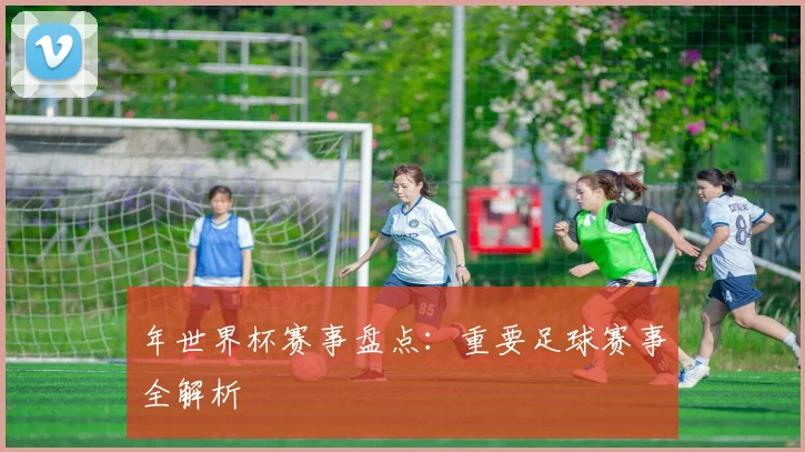 年世界杯赛事盘点:重要足球赛事全解析