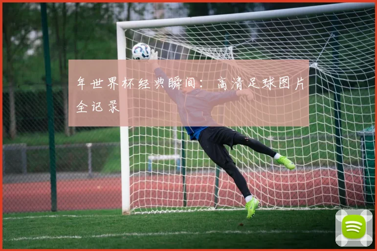 年世界杯经典瞬间:高清足球图片全记录